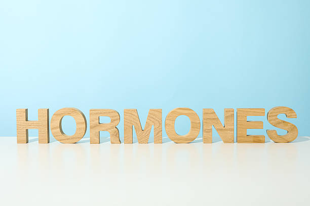 istock The word hormones on a light background. 2217436094