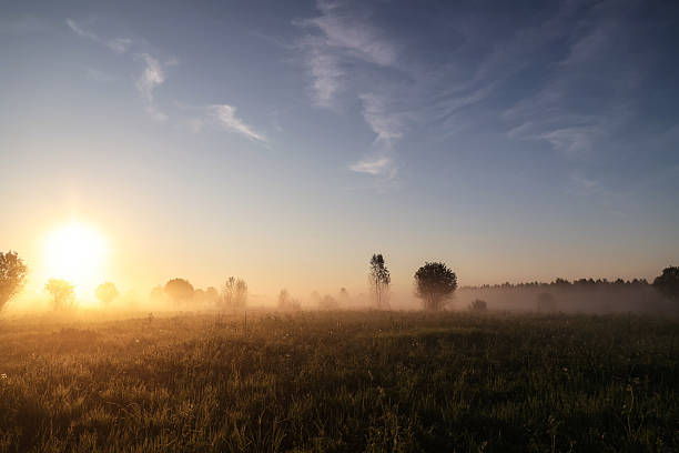 istock Misty summer landscape at dawn 2217436102