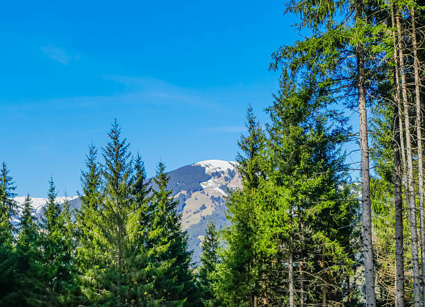 Spring in Pinzgau Alps