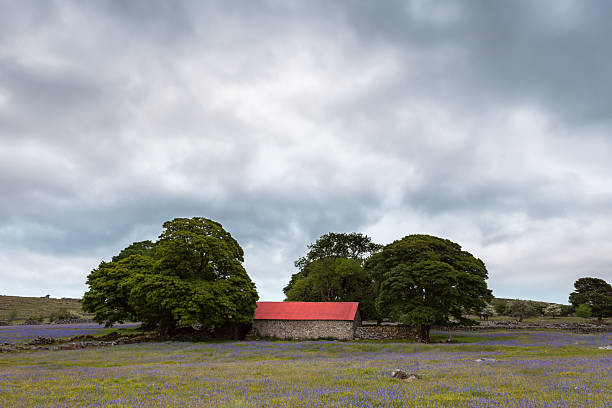 istock Emsworhy Mire Barn, Dartmoor. 2217443131