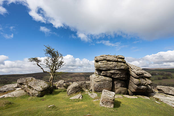 istock Emsworthy Mire Rocks and the thorn tree. 2217443175