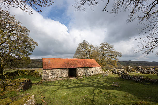 istock Emsworhy Mire Barn, Dartmoor. 2217443864