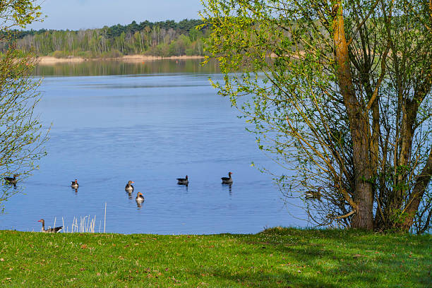 Famous bavarian Lakes