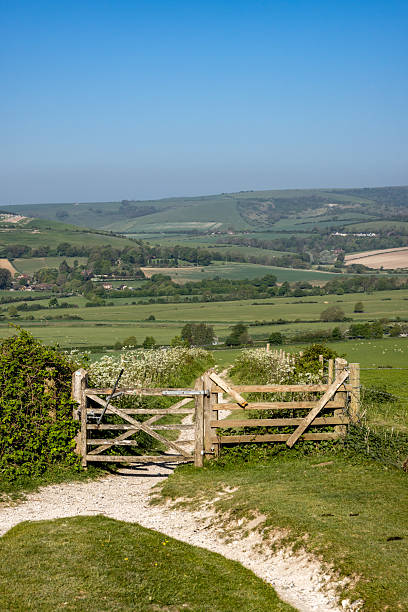 istock A view along a chalk pathway on Beeding Hill in the South Downs, on a sunny spring day 2217445640