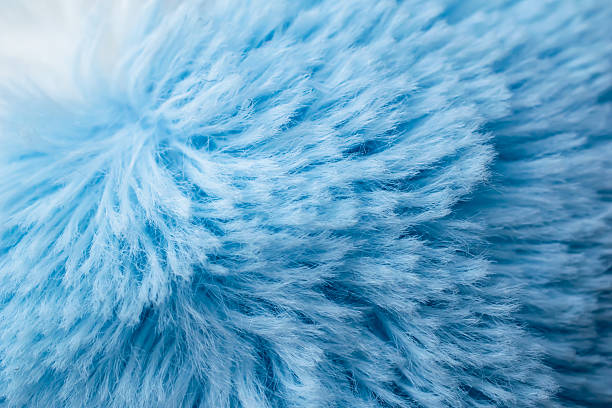 istock hairy background blue, short hair 2217448506
