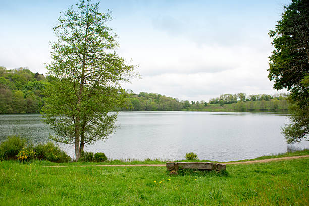 istock Spring morning meadow near the river with green tree on the shore. 2217450871