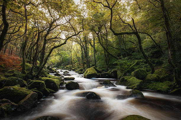 istock A long exposure on the River Plym, Dewerstone, Devon UK 2217454280