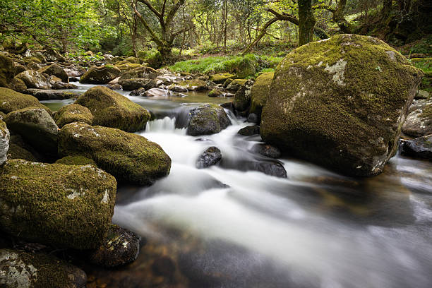Streaming water photographed with long exposure in pursuit to catch the power of water