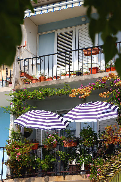 istock Street in Makarska, Croatia 2217456247
