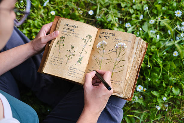 Botanist examining dried flowers in herbarium notebook outdoors. unrecognizable person