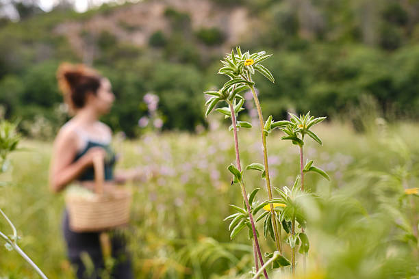 carefree woman gathering flowers in a wildflower meadow during a sunny spring day
