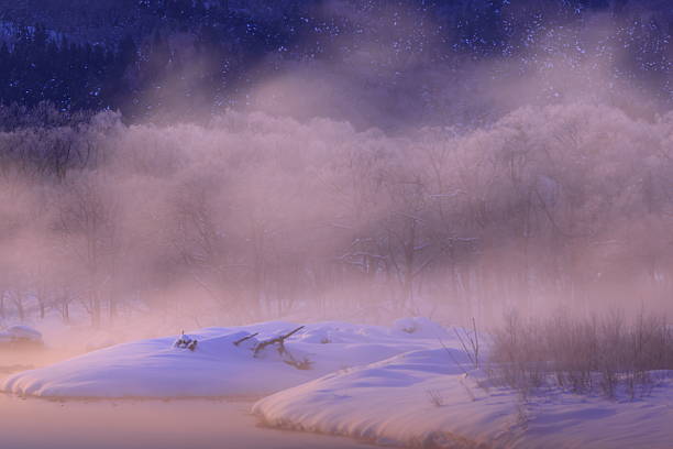 Morning winter landscape