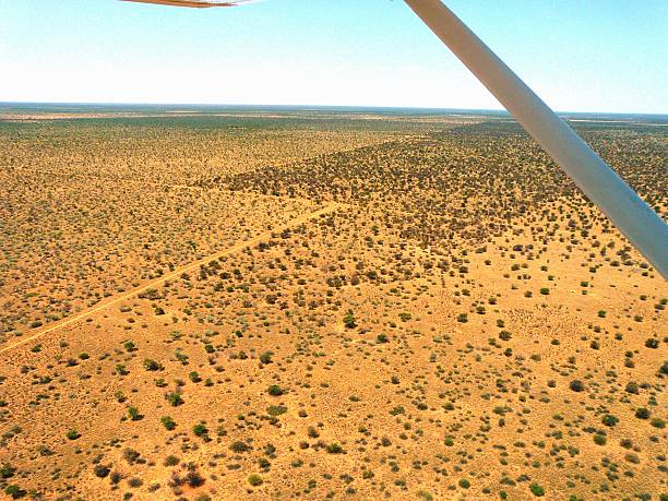istock A wide, open Limpopo landscape with sparse vegetation as viewed from above 2217471418