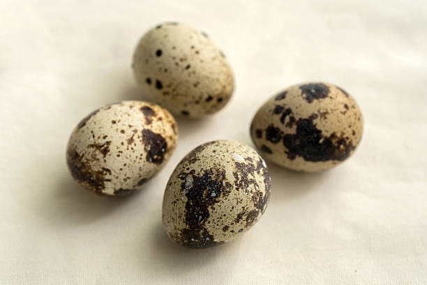 Close-up view of fresh chicken eggs and quail eggs stacked in baskets at a local market. The eggs are arranged neatly, showcasing their natural texture and varying sizes, representing a variety of fresh produce available for purchase. Perfect for food-related content, culinary, and organic farming themes.