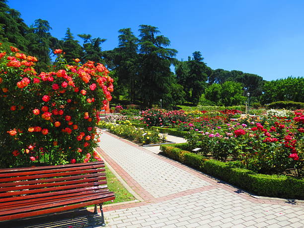 istock La Rosaleda Park in Madrid. 2217475354
