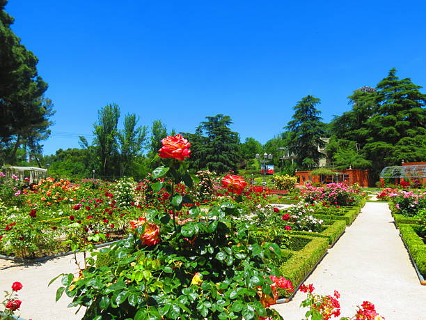 istock La Rosaleda Park in Madrid. 2217475505