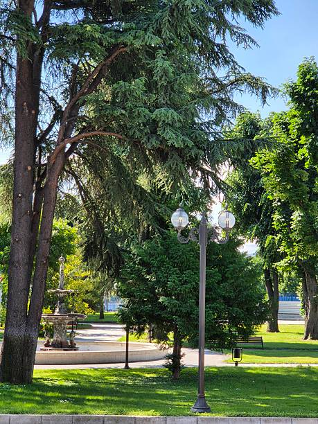 istock Spring park with la green trees, fountain and bench 2217475891