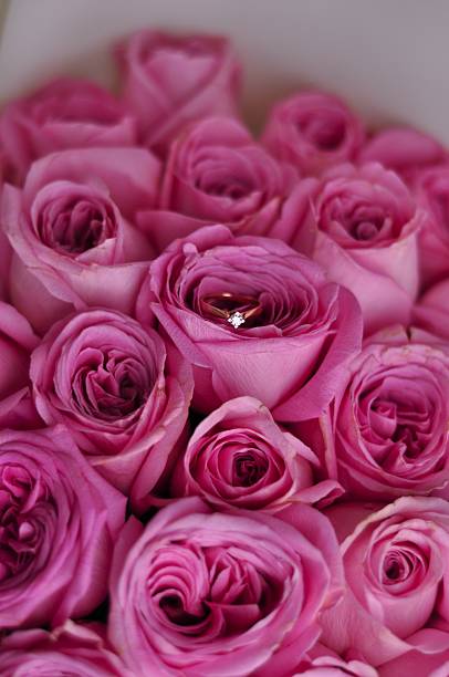 Beautiful wedding rings on flowers