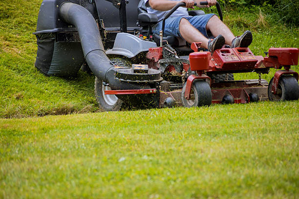 istock Lawn care task in progress with riding mower on grassy field during daytime 2217479068