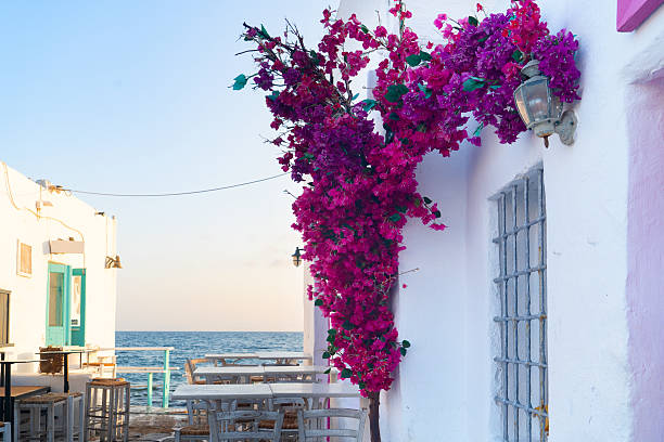 istock Naoussa white street 2217479691