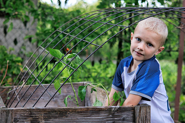 Boy helping to plant plants in garden