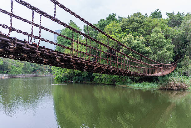 A hanging bridge in  forest