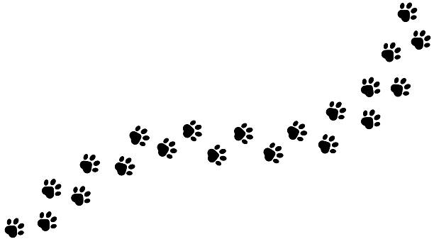 ilustraciones, imágenes clip art, dibujos animados e iconos de stock de huellas simples de patas de gato para caminar - huella de pata