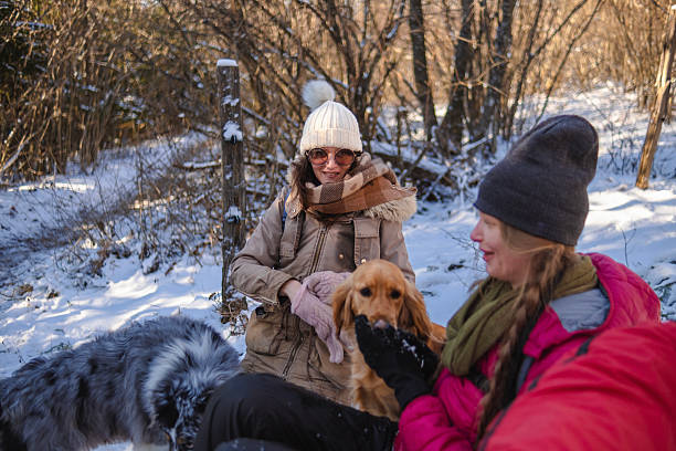 istock Our dogs love a snowy adventure 2217484753