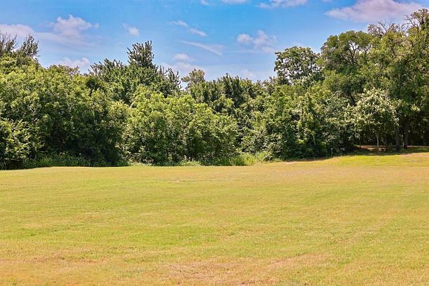 istock Park on a beautiful summer day 2217487710
