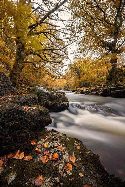 istock Autumn on the River Erme,  with a long exposure. Harford, Ivybridge 2217487955