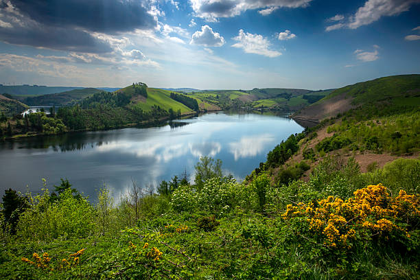 istock The Clywedog Reservoir 2217489540