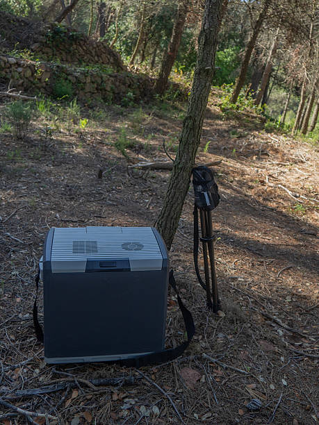 istock Portable cooler and tripod leaning against a tree in the forest 2217494058