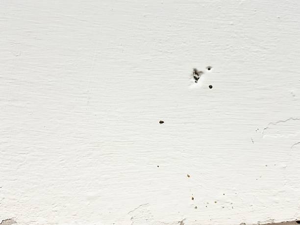 istock Various shots of cracked and peeled off texture on white background wall 2217496865
