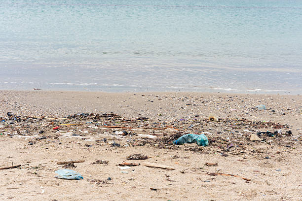 istock Polluted sea coast, plastic waste lying on the sand, environmental problems 2217497387
