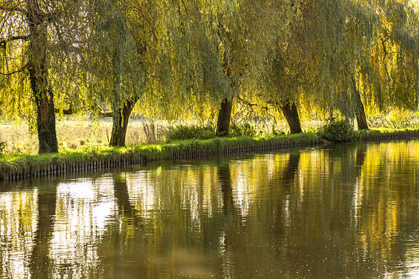 istock Autumn view over the River Wey Guildford Surrey England 2217499559
