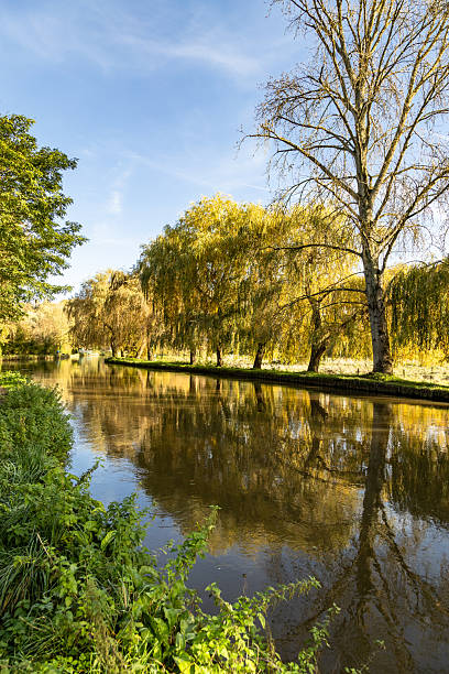 Beautiful autumn natural view in Guildford Surrey England Europe