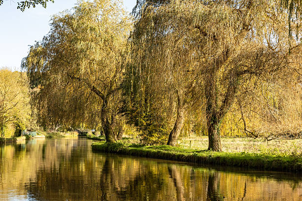 Beautiful autumn natural view in Guildford Surrey England Europe