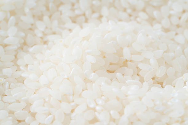 Background filled with Japanese rice grains