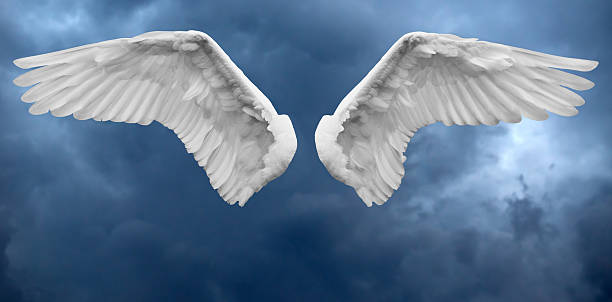 White angel wings against storm clouds