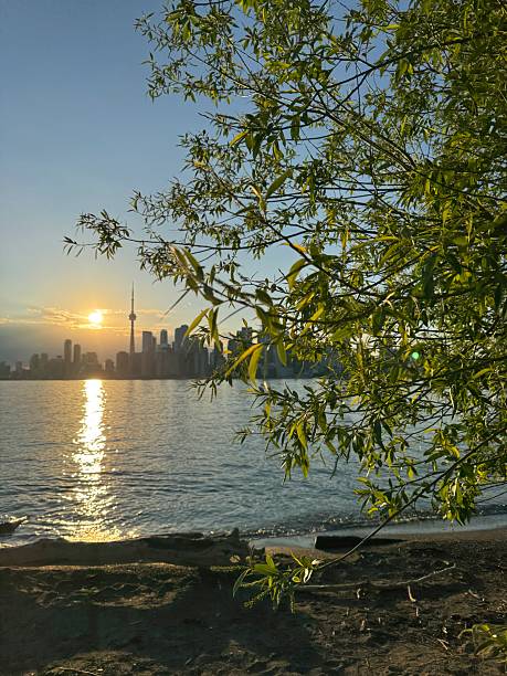 istock Toronto Skyline Sunset Viewed Through Lakeside Trees 2217504060