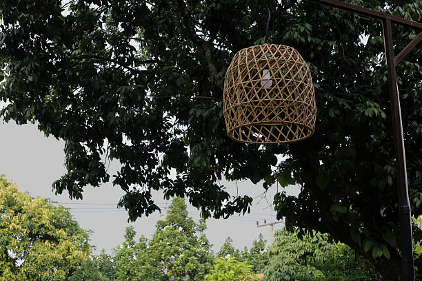 istock Woven Rattan Hanging Lamp in Trees 2217505590