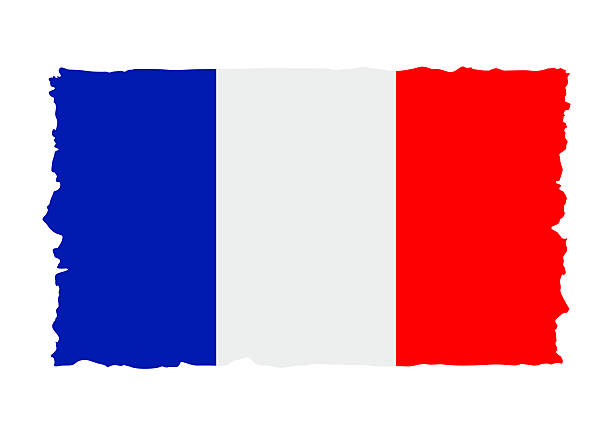 istock Grunge Style Flag of France. Flat Icon. Vector Illustration 2217506088