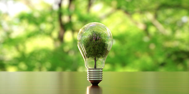 istock Green Energy and Environmental Innovation 2217509368