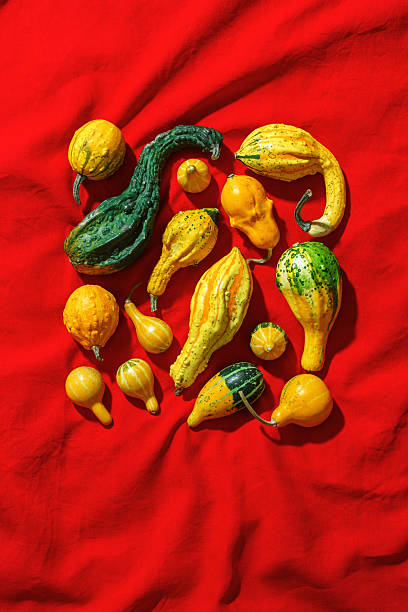 istock Pumpkins pattern, decorative diverse pumpkin, squash, patisson on red cloth background top view. Autumn, fall, halloween holiday concept. Minimal autumnal flat lay with sunlight shadows. 2217516915