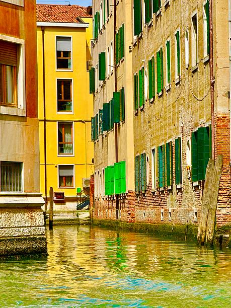 A view of Venice, Italy from the back of a water taxi