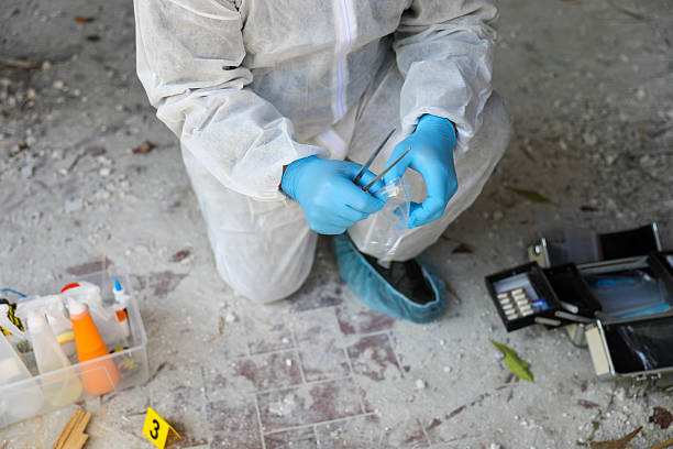 istock Chief Crime Scene Investigator In Action 2217523949