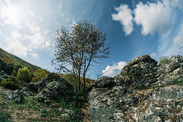 a tour by the lake Plastira - Greece, in Autumn