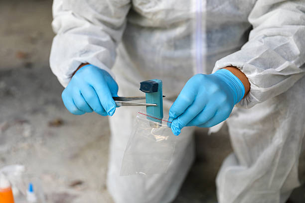 istock Principal Forensic Specialist At Crime Scene 2217524055