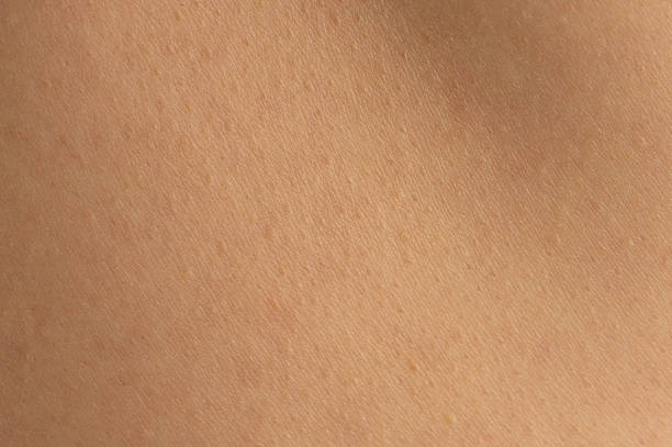 istock Close-up view of smooth skin showcasing natural texture under soft lighting 2217524806