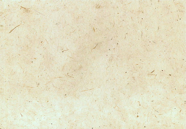 istock Handmade paper with visible natural fibers. 2217526328